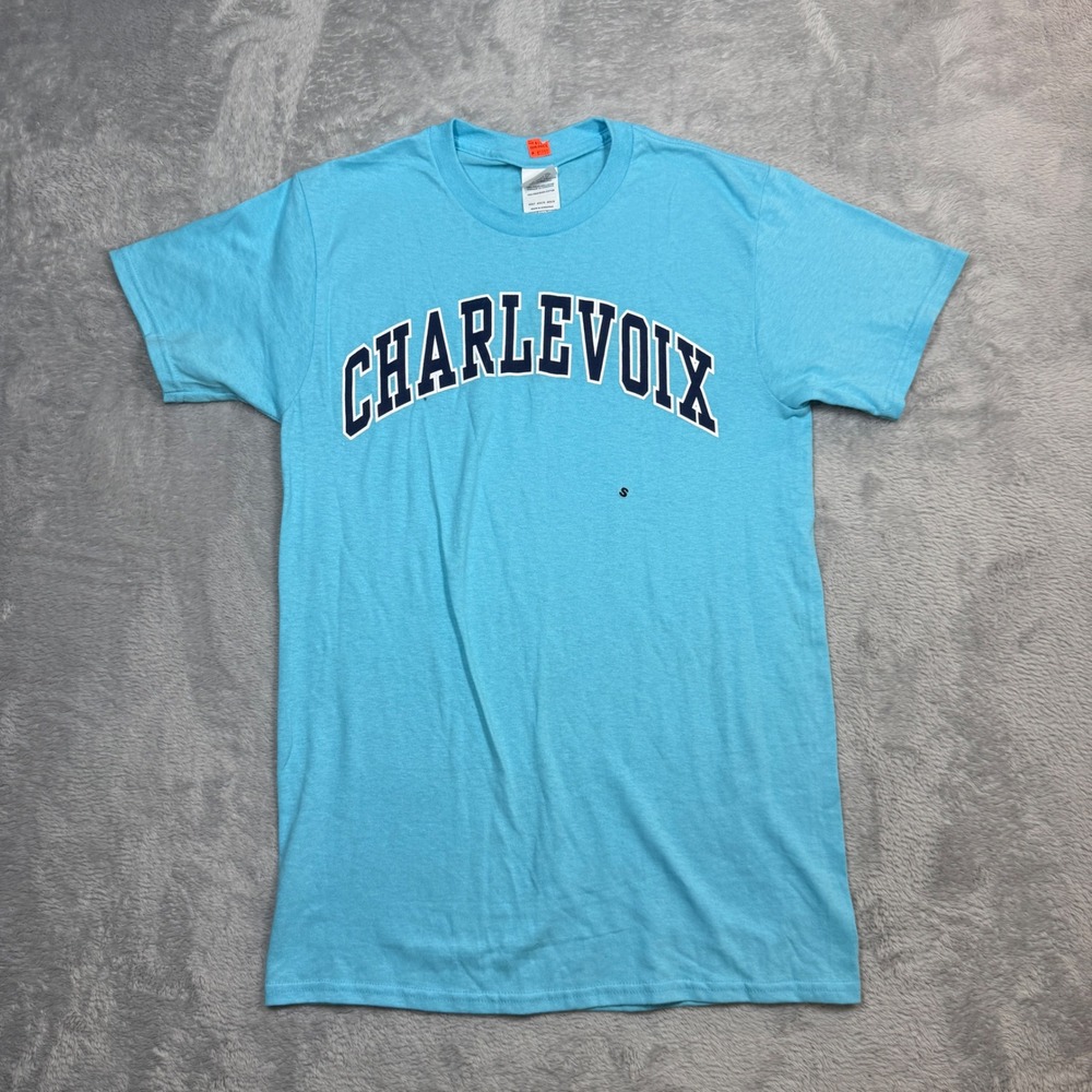 Vintage Delta Charlevoix T Shirt Adult S Blue Michigan Souvenir Short Sleeve Y2K